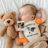 Custom New Best Friend Bodysuit | Protected By Pets, Newborn Outfit, Gift for Baby Pet Lover, Dog Brother, Baby Announcement, Cat Portrait