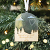 Personalized Pet Memorial Ornament, Dog or Cat Loss Keepsake, Pet Sympathy Remembrance Gift, Memorial Christmas Ornament 2025
